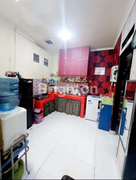 image RUMAH SCOND CIGANJUR KELINCI (2)
