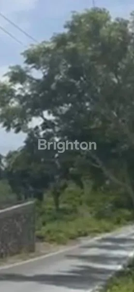 image DIJUAL TANAH DI KAMPIAL OCEAN BLUE (2)