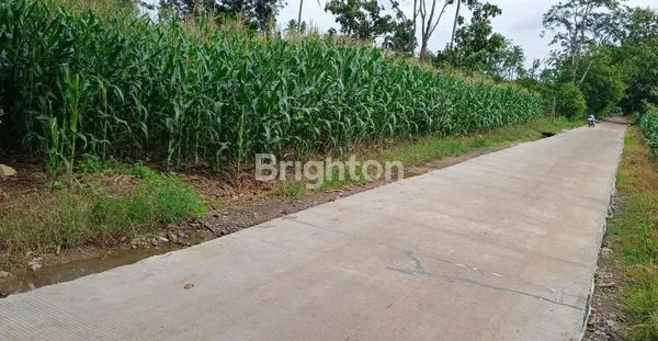 image DIJUAL CEPAT TANAH HARGA MURAH MERIAH (2)