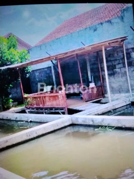 image RUMAH SAMPING UNIVERSITAS WIJAYA KUSUMA PURWOKERTO  (2)