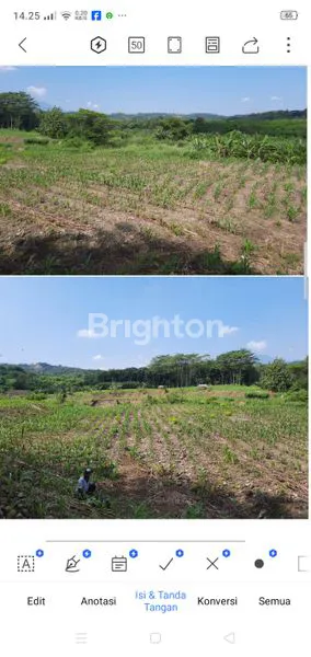 image DIJUAL TANAH  (2)