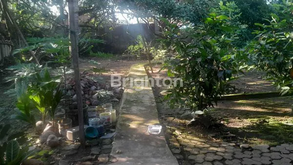 image RUMAH BESERTA ISINYA DAN TANAH LUAS  SIAP HUNI (5)