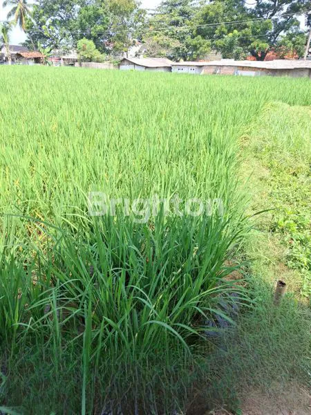 image LAHAN TANAH CITEPUS PELABUHAN RATU SUKABUMI JAWA BARAT (1)