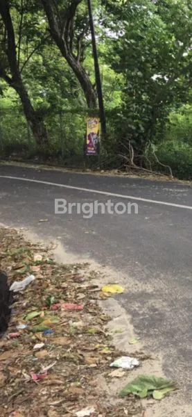 image DIJUAL TANAH BY BEACH VIEW (2)