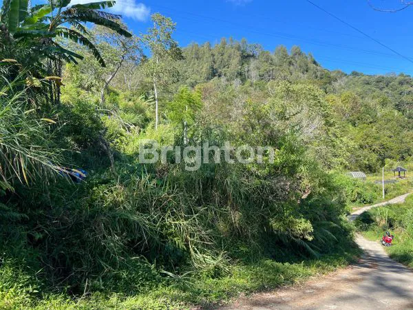 image LAHAN KOSONG PANCASARI (4)