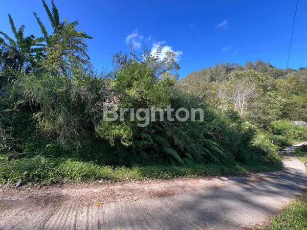 image LAHAN KOSONG PANCASARI (3)