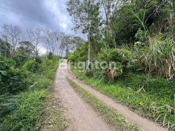 image LAHAN KOSONG PANCASARI (7)