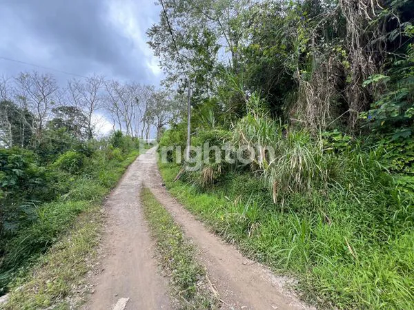 image LAHAN KOSONG PANCASARI (8)