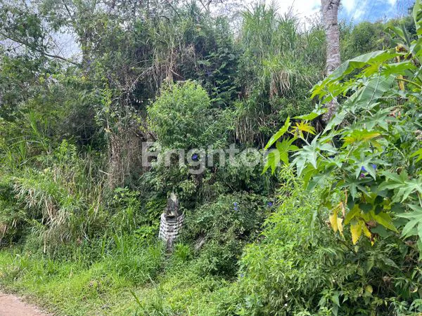 image LAHAN KOSONG PANCASARI (6)