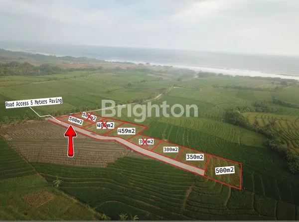 TANAH KAVLING TABANAN VIEW SAWAH DAN LAUT