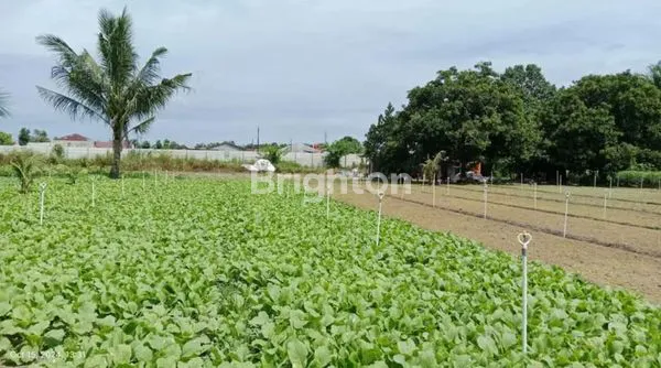 image LAHAN STRATEGIS 600M², SHM, HARGA MENARIK (3)