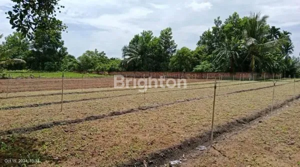 image LAHAN STRATEGIS 600M², SHM, HARGA MENARIK (1)