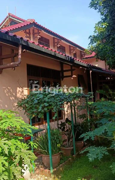 image RUMAH HALAMAN LUAS  (4)