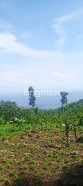 image DIJUAL TANAH LOKASI JALAN RAYA LIPAH AMED KARANGASEM (1)