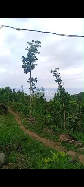 image DIJUAL TANAH LOKASI JALAN RAYA LIPAH AMED KARANGASEM (2)