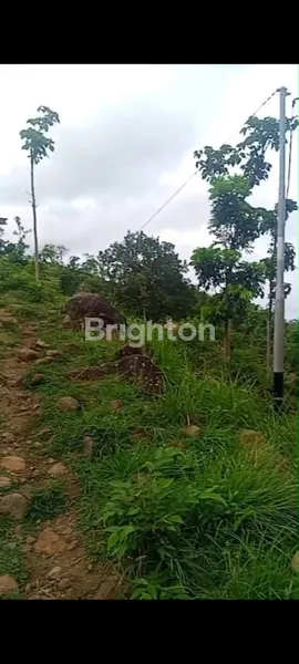 image DIJUAL TANAH LOKASI JALAN RAYA LIPAH AMED KARANGASEM (4)