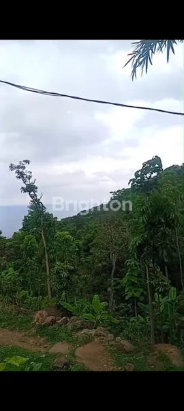 image DIJUAL TANAH LOKASI JALAN RAYA LIPAH AMED KARANGASEM (5)