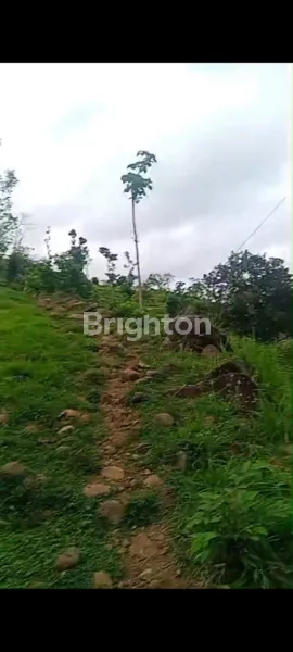 image DIJUAL TANAH LOKASI JALAN RAYA LIPAH AMED KARANGASEM (6)