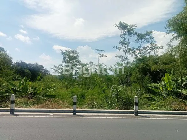 image DIJUAL DI BAWAH HARGA PASAR !!! TANAH LUAS, STRATEGIS ,PINGGIR JALAN RAYA, COCOK UNTUK VILLA, HOMESTAY, HOTEL. DEKAT TERMINAL JOMBOR. (1)