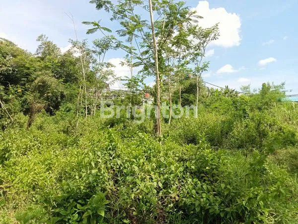 image DIJUAL DI BAWAH HARGA PASAR !!! TANAH LUAS, STRATEGIS ,PINGGIR JALAN RAYA, COCOK UNTUK VILLA, HOMESTAY, HOTEL. DEKAT TERMINAL JOMBOR. (7)