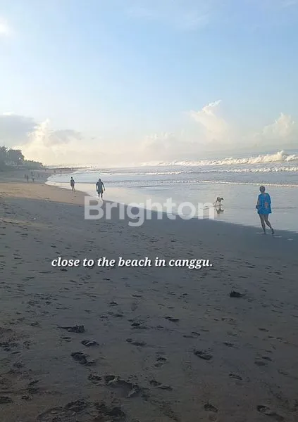 image “VILLA MODERN DI PERERENAN CANGGU, COCOK INVESTASI & HUNIAN” (2)