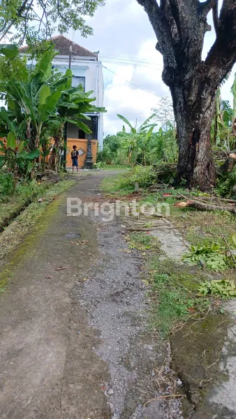 image KESEMPATAN LANGKA: KAVLING SIAP BANGUN "TERIMA BERES" DI BATUYANG, GIANYAR  (3)