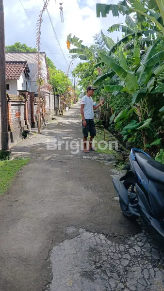 image KESEMPATAN LANGKA: KAVLING SIAP BANGUN "TERIMA BERES" DI BATUYANG, GIANYAR  (5)