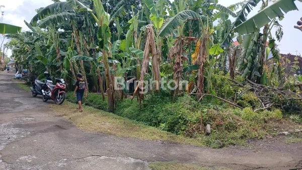 image KESEMPATAN LANGKA: KAVLING SIAP BANGUN "TERIMA BERES" DI BATUYANG, GIANYAR  (1)