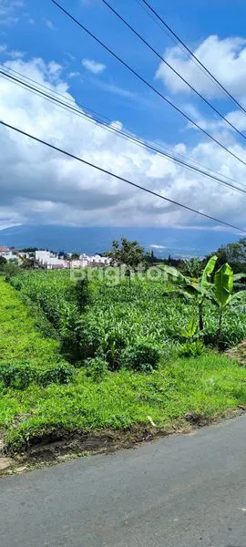 image TANAH STRATEGIS 1000M² DI BATU, DEKAT CLUSTER (3)