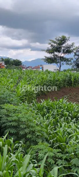 image TANAH STRATEGIS 1000M² DI BATU, DEKAT CLUSTER (2)