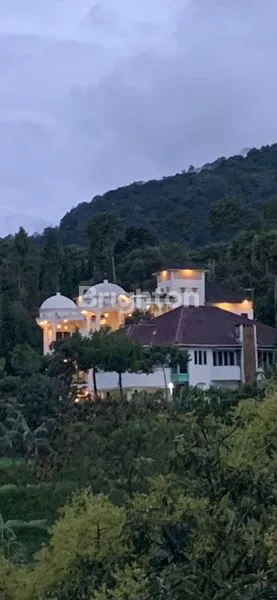 image DIJUAL VILLA KEMBAR MEGAH DI PUNCAK CISARUA | LT 2050M² | 15 KAMAR TIDUR | RP 9M (2)