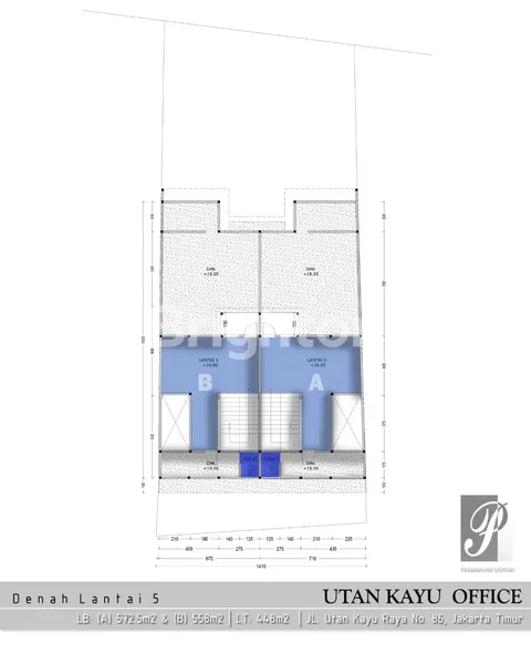 image RUKAN KALIMALANG (3)