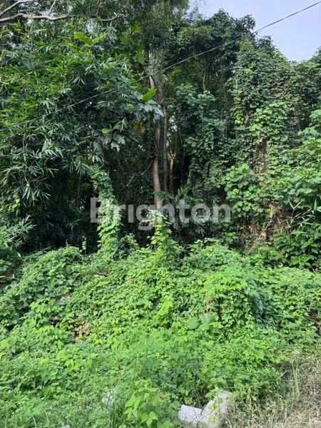 image DIJUAL / LAND FOR SALE – TANAH LOT, BALI (6)