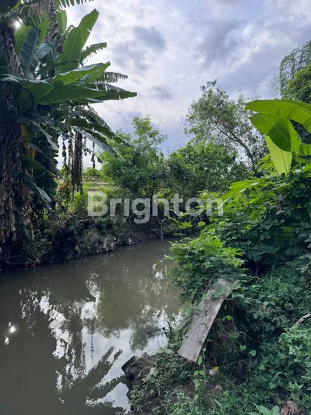 image DIJUAL / LAND FOR SALE – TANAH LOT, BALI (8)