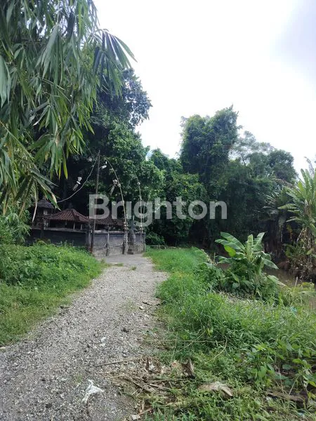 image DIJUAL / LAND FOR SALE – TANAH LOT, BALI (3)