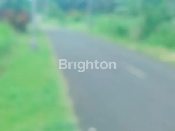 image DIJUAL TANAH PINGGIR JALAN, VIEW SAWAH DAN PEGUNUNGAN (1)