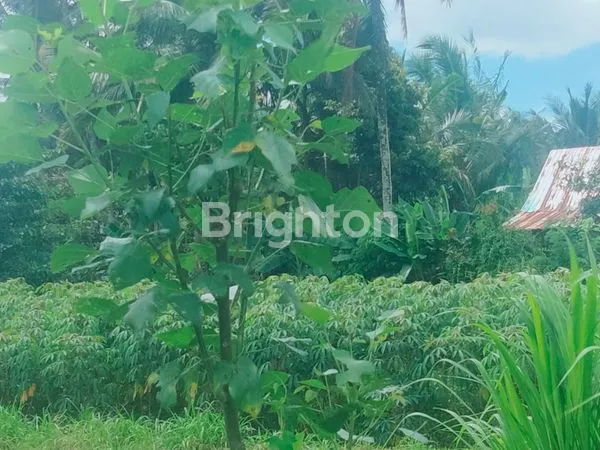 image DIJUAL TANAH PINGGIR JALAN, VIEW SAWAH DAN PEGUNUNGAN (3)