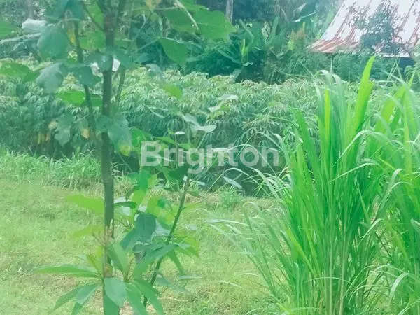 image DIJUAL TANAH PINGGIR JALAN, VIEW SAWAH DAN PEGUNUNGAN (2)