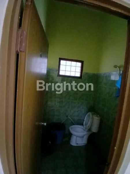 image DISEWAKAN RUMAH (6)