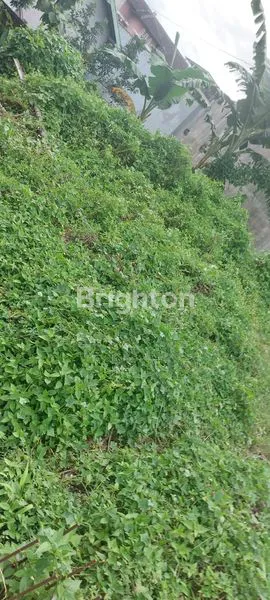 image LAHAN PRIME 204M² DI JL UTAMA, DEKAT FASILITAS PUBLIK & PENDIDIKAN (6)