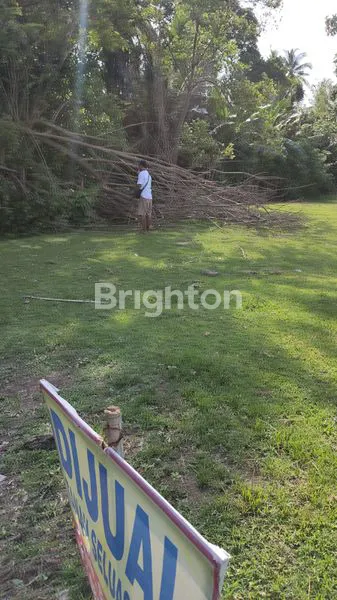 DIJUAL TANAH LOKASI DEKAT PANTAI SOKA