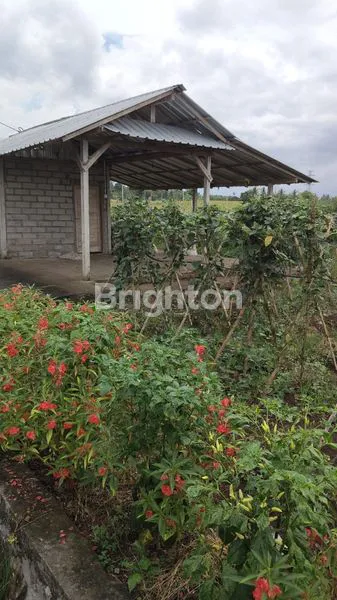 image DIJUAL TANAH LOKASI DEKAT PANTAI (2)