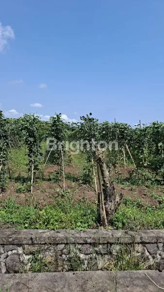 image DIJUAL TANAH LOKASI DEKAT PANTAI (1)