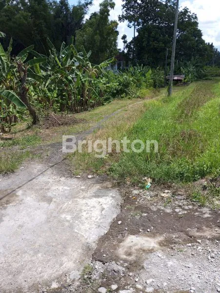 image DIJUAL TANAH SAWAH MURAH  ABIANSEMAL, BADUNG BALI (2)