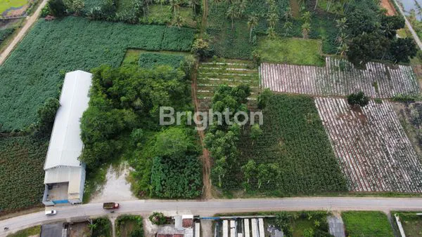 image DIJUAL TANAH NATAR LAMPUNG SELATAN (3)