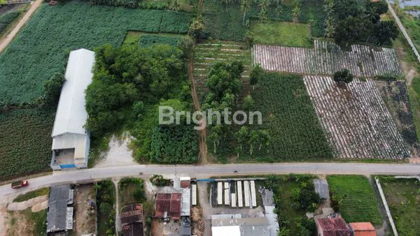 image DIJUAL TANAH NATAR LAMPUNG SELATAN (2)