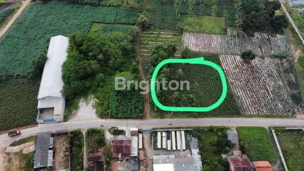 image DIJUAL TANAH NATAR LAMPUNG SELATAN (1)