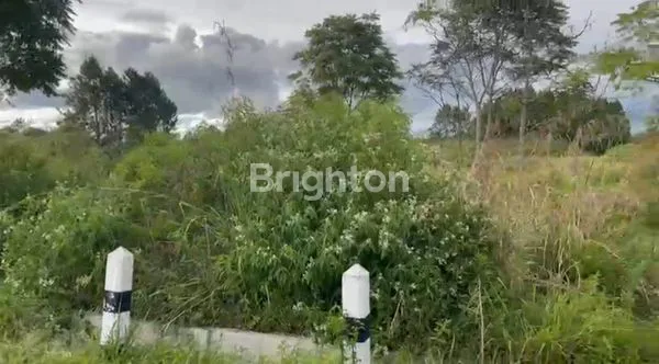 image 4.404 M² TANAH LADANG DI JALAN RINGROAD SOREKARNO HATTA SIBORONG - BORONG (8)