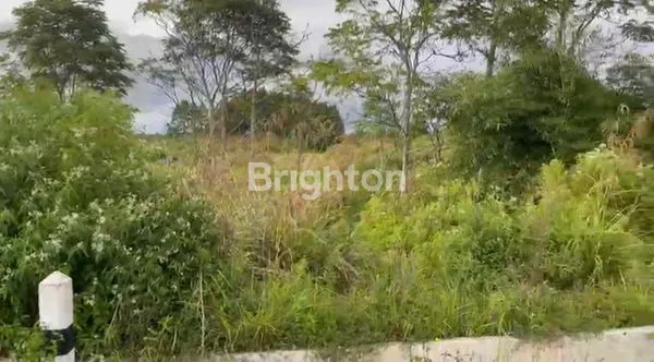 image 4.404 M² TANAH LADANG DI JALAN RINGROAD SOREKARNO HATTA SIBORONG - BORONG (7)