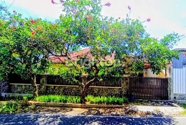 image RUMAH DI DIENG MALANG (2)